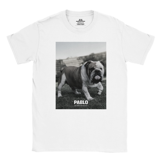 c4927ce8-e519-4fbd-bd1e-5b73bf316239