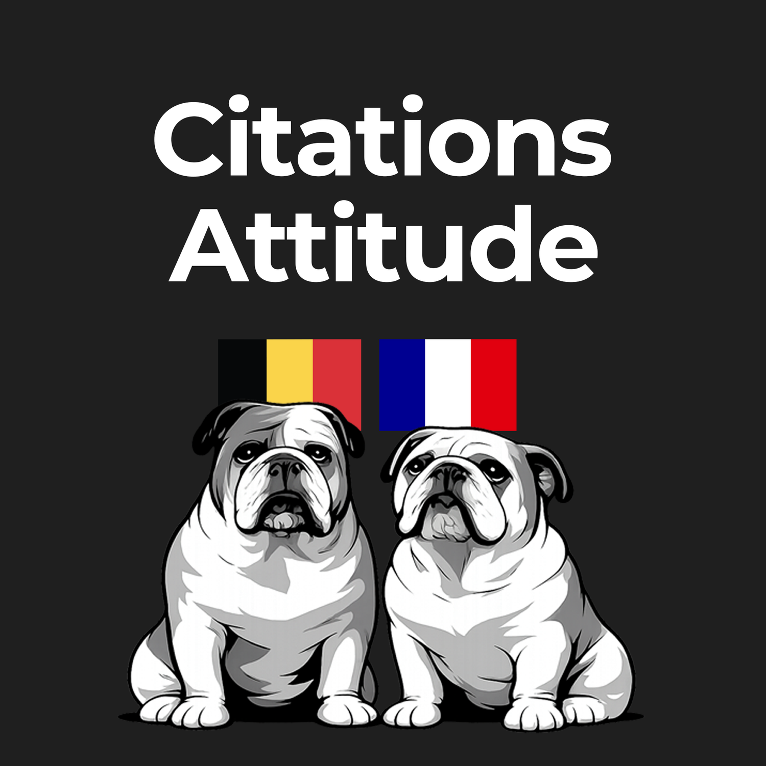 03: Citations | Attitude🇫🇷🇧🇪