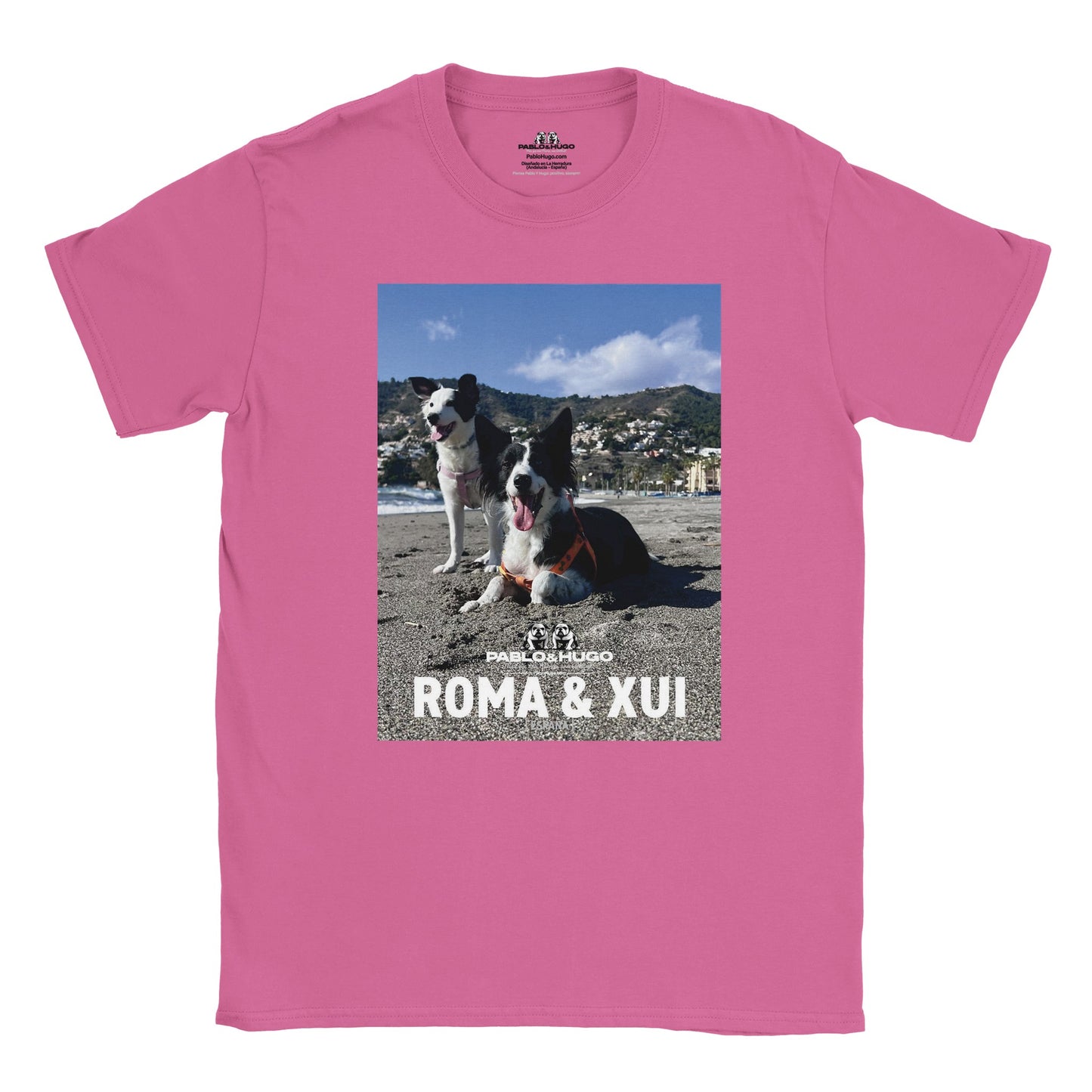 097b66a2-441d-4e2e-8e1a-a575a7fc8844