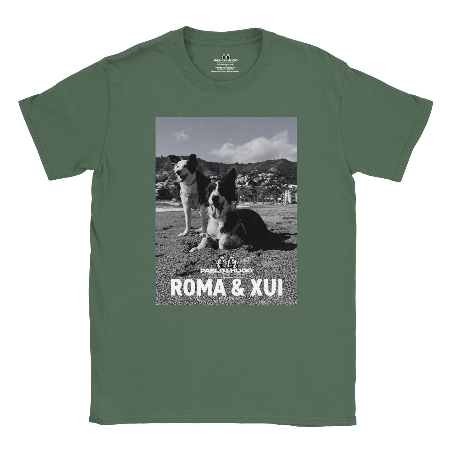 1012258a-696a-4787-a96d-d911a47ff672