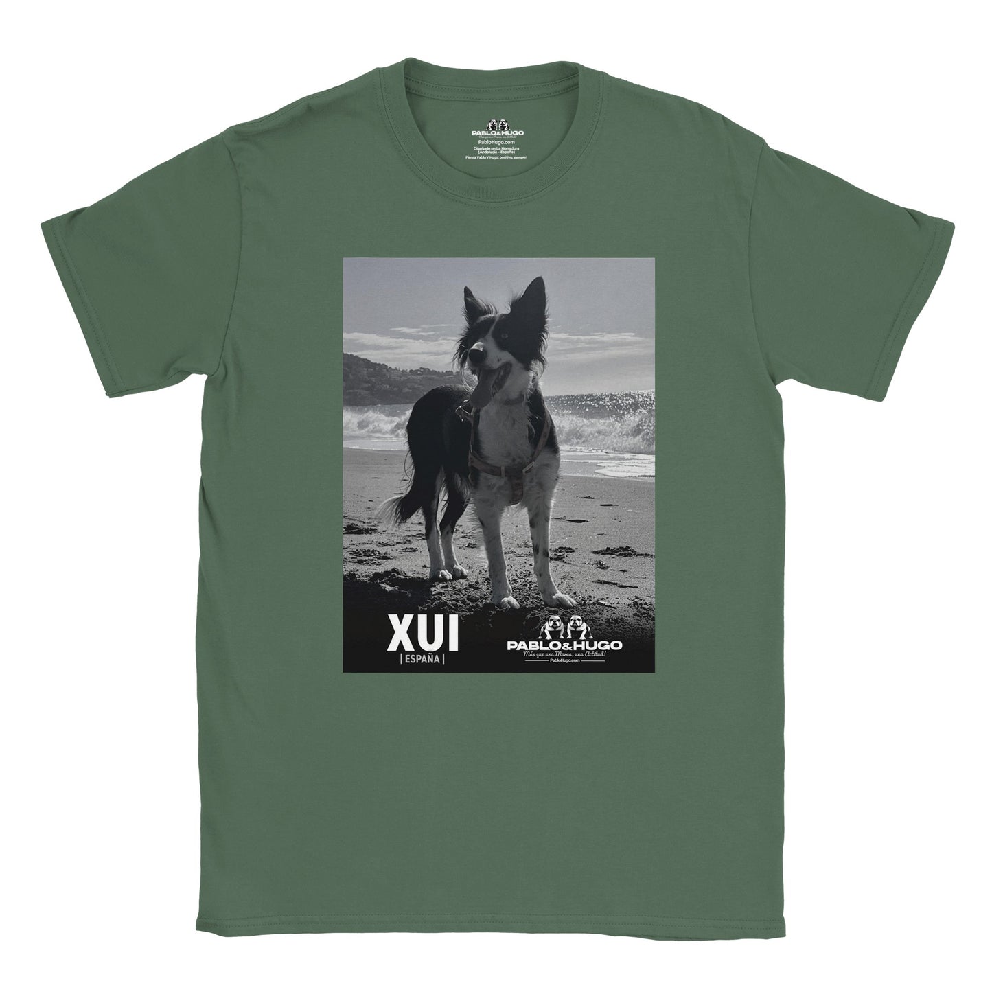 2f4e178c-1c35-4955-9da3-d2283932193b