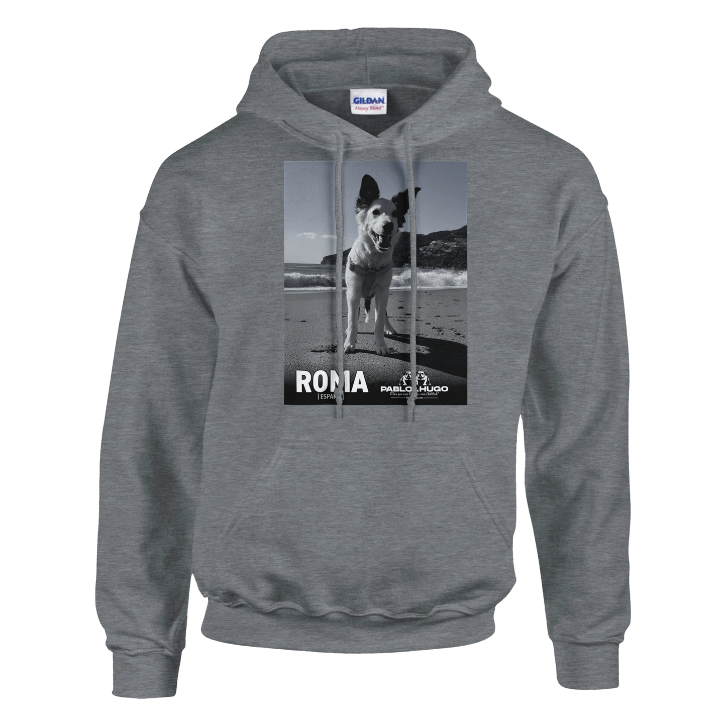 5aef8624-5253-48ed-b4fc-d4bcc3e2c3bc