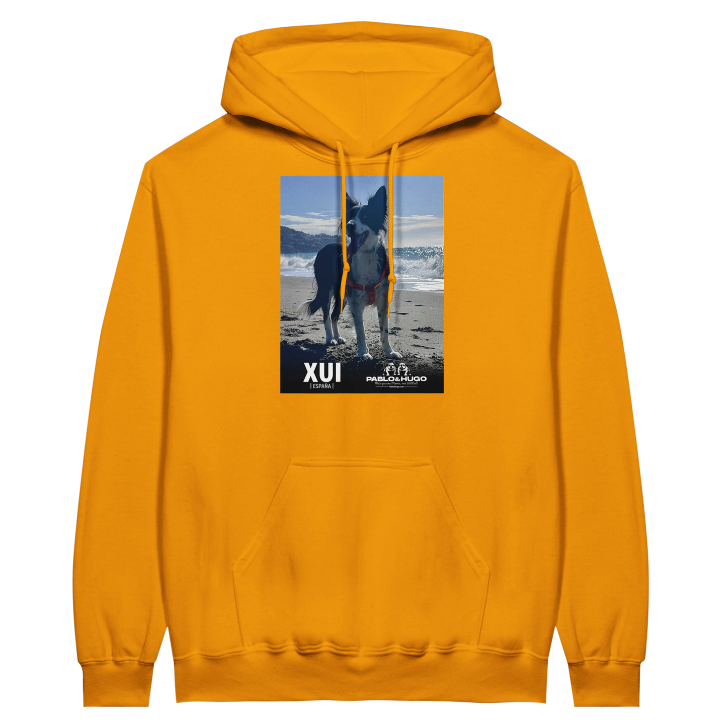 726c9d03-f81a-41f0-8b22-ee36b825b677