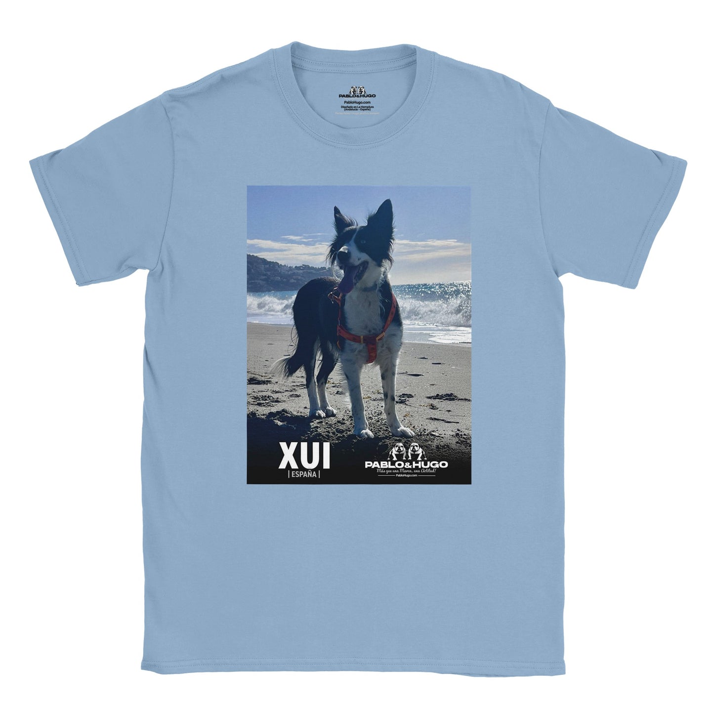 a210eb5b-15b2-46cc-9004-f330eecbdc38