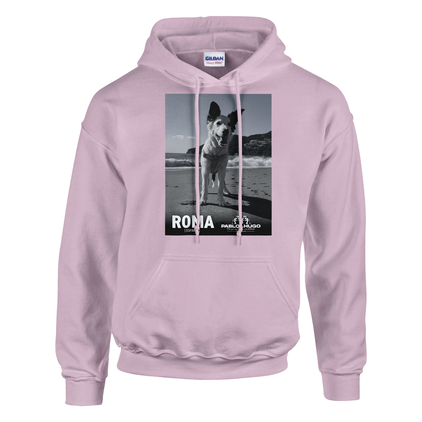 bf13b9bd-69df-416e-8fd6-515d572758db