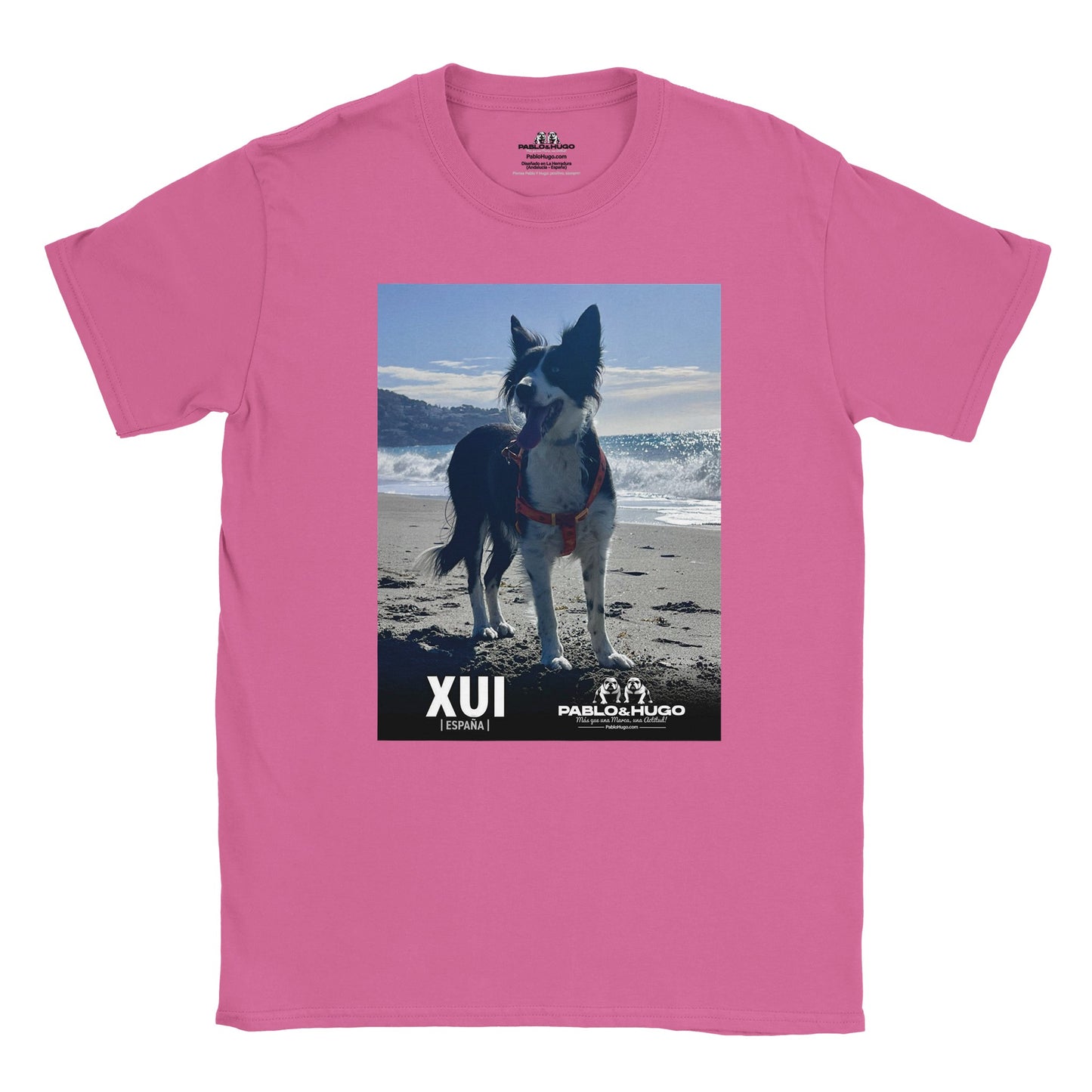 c2432484-233a-4885-9a2f-74adc73fead5