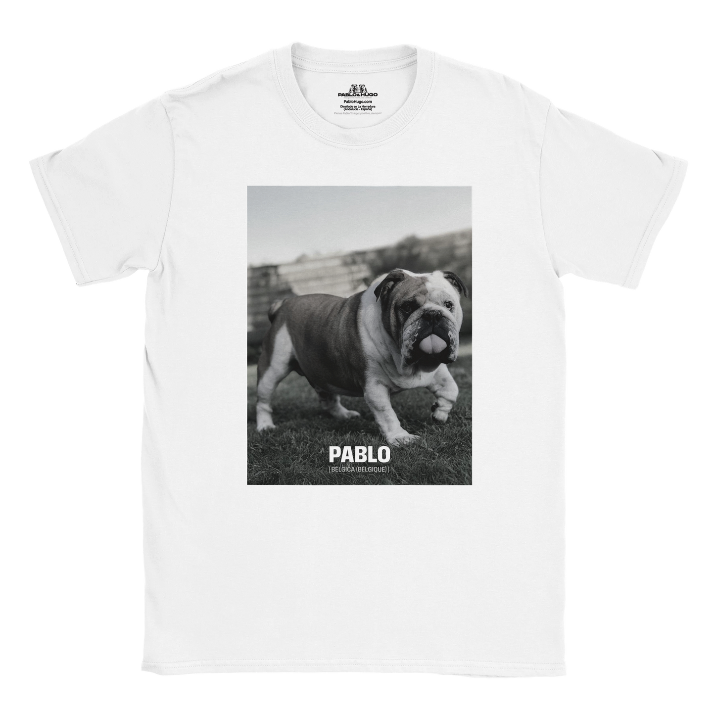 c4927ce8-e519-4fbd-bd1e-5b73bf316239