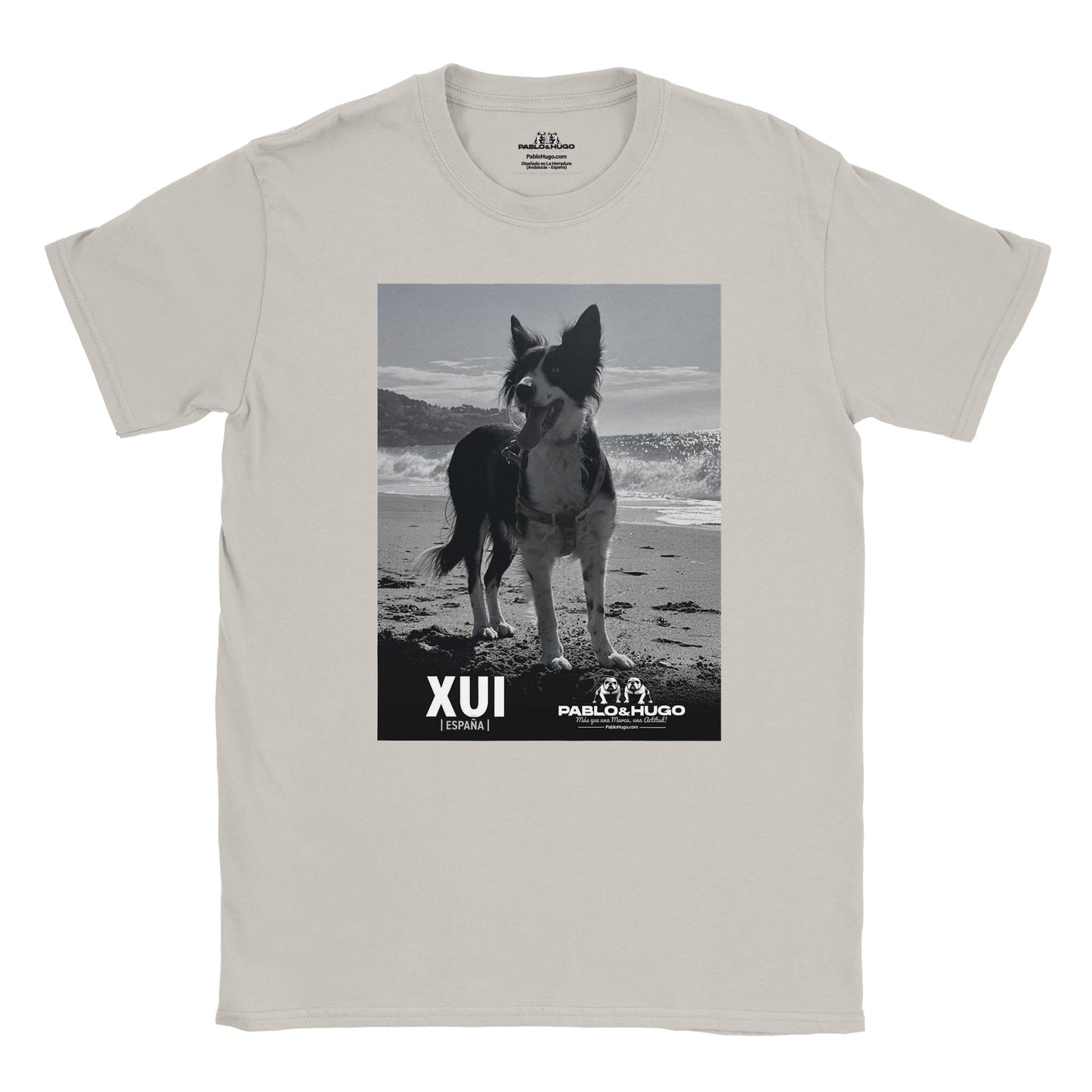 c5edaea9-e7f4-44a0-902c-023308108fa8