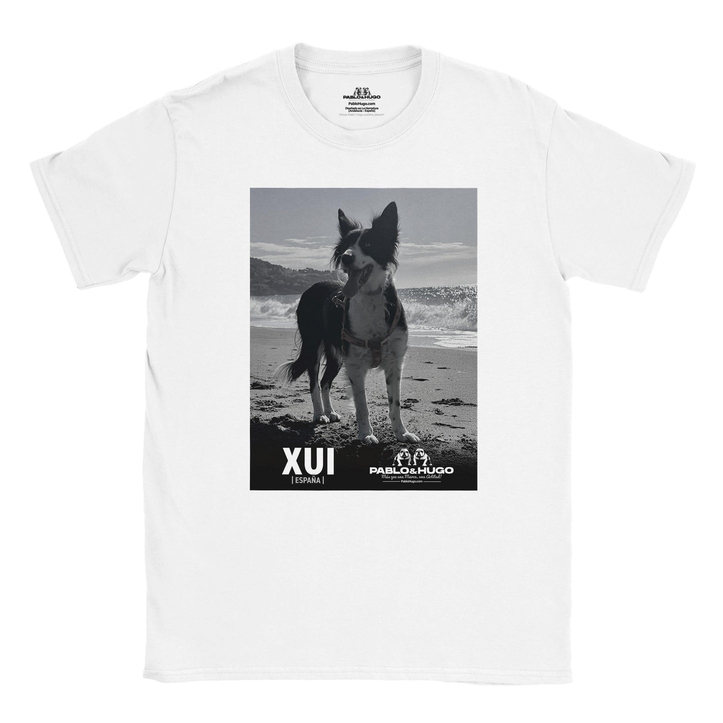 c9012b6f-34bc-46b5-b0c9-ff6389dbf104