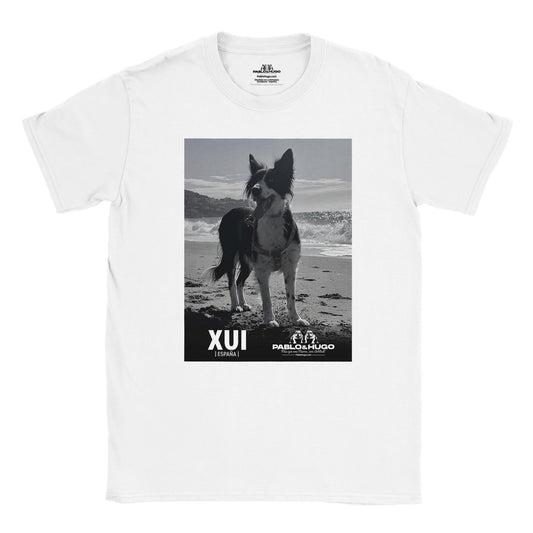 c9012b6f-34bc-46b5-b0c9-ff6389dbf104