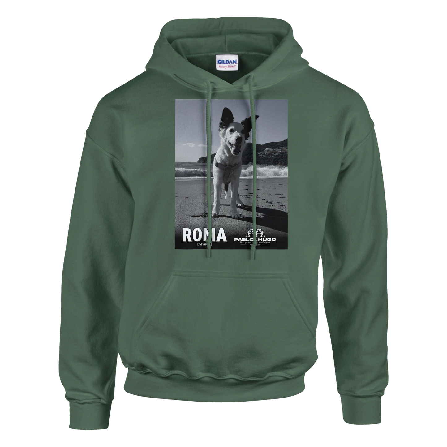 cc6d1778-1a31-4827-a856-8c213df76dd4