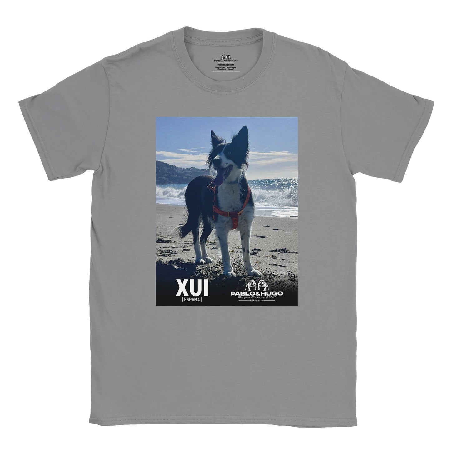 cfd06c56-dc49-4bd7-894d-9a7501cb272c