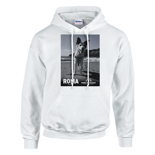 e1f50566-4c4e-4cc9-a159-78365297d2c0