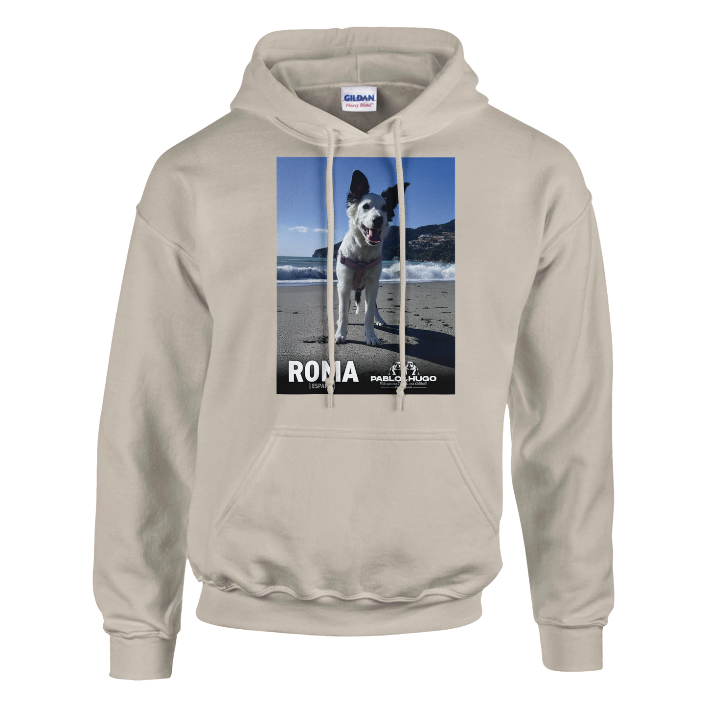 e3fce552-3542-484b-827c-223fe64dd59f