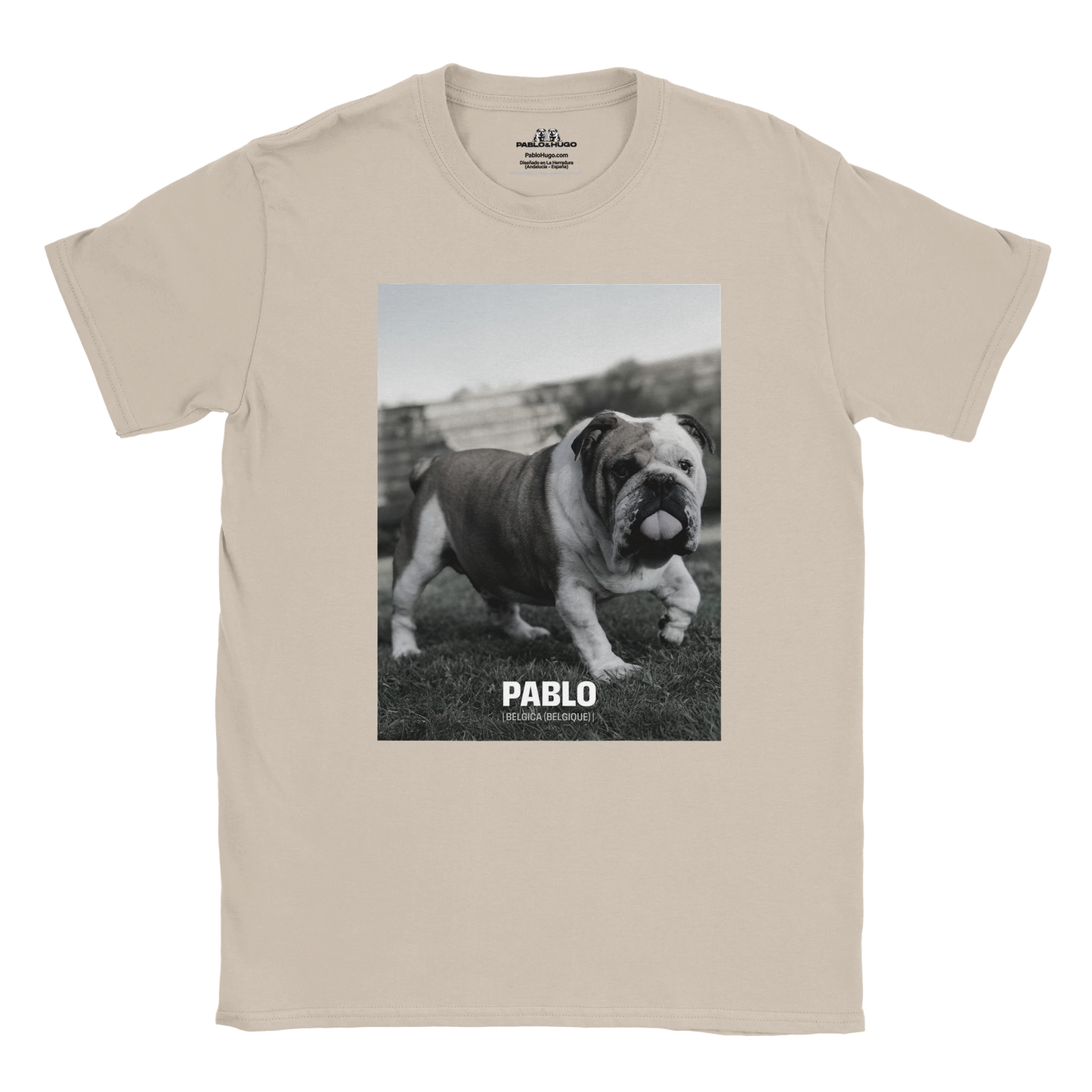 faae4734-928c-48f9-aadc-68bd4d2ac28a